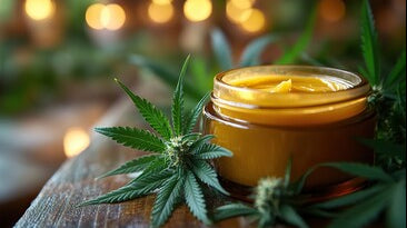 CannaDerm Renew (10g Botanical Skin Relief Cream)